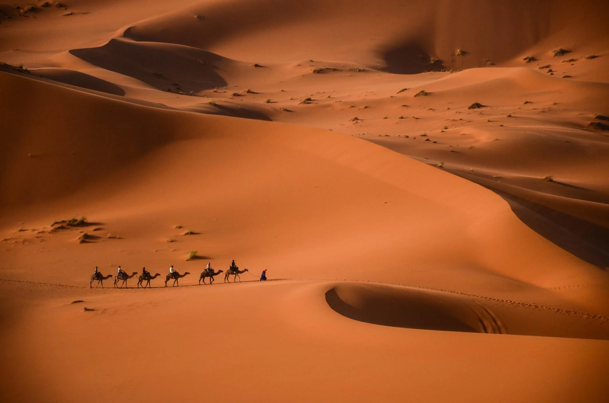 sahara